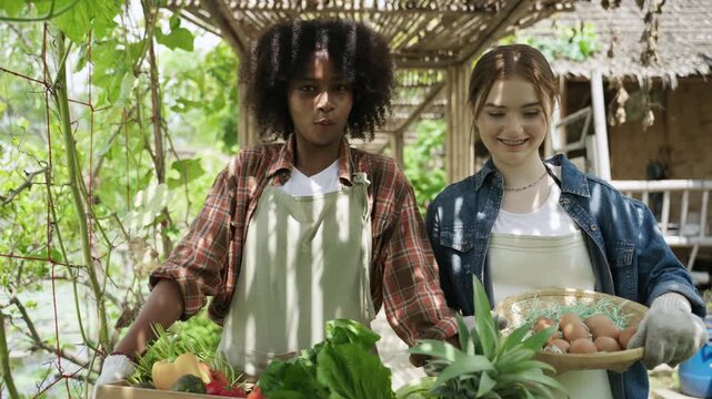 Happy African teenage woman and her Caucasian friend walking holding crate of organic vegetables and basket of fresh chicken eggs harvested from gardens and farms while studying agriculture in school.