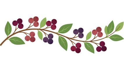 Autumn berry branch illustration. Seasonal harvest foliage with red and purple berries. © Mahraz