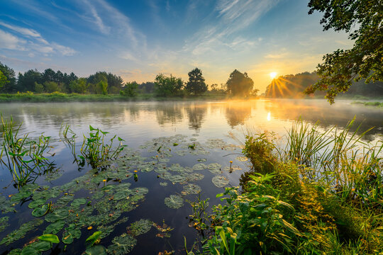 Beautiful summer sunset over the lake