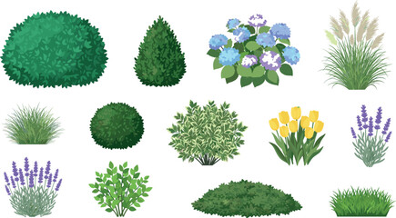 Garden Plants and Ornamental Shrubs Vector Collection Featuring Bushes, Flowering Plants, Lavender, Tulips, Hydrangeas, Grasses, and Landscaping Greenery Elements © Mark Carney