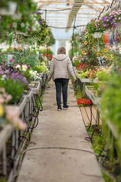 Person walking through greenhouse aisle surrounded by vibrant plants and flowers.