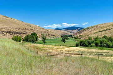 Obraz premium A green meadow bounded by a fence lies in a valley in northeastern Oregon, United States