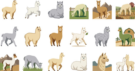 Flat Vector Domestic Camelid Collection with Various Cute Alpacas and Barn Scenes © KhadizaAkter