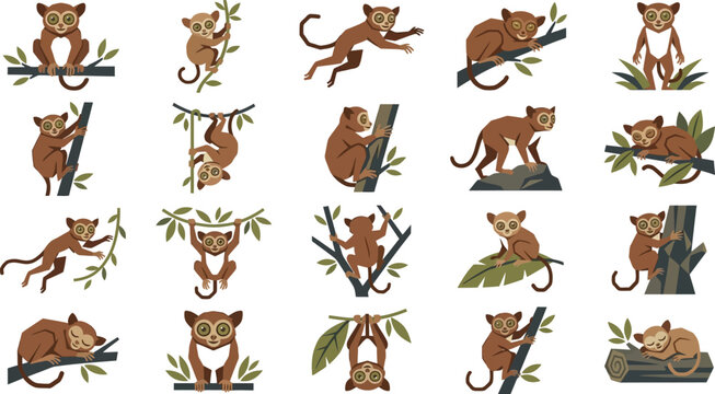Flat Vector Cute Bush Baby and Galago Collection in Different Jungle Poses