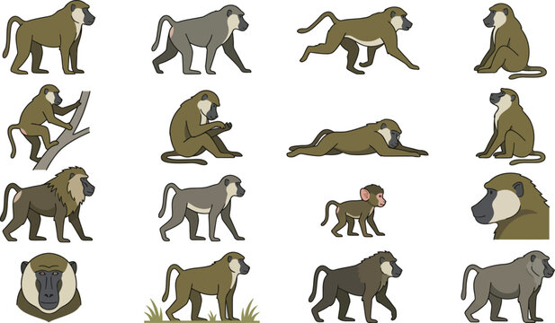 Flat Vector Olive Baboon Collection in Different Poses and Actions