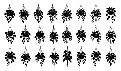 Heart Leaf Philodendron Hanging Vine Silhouette Collection Vector Illustration © Bipul