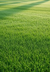 Obraz premium Lush, closely mowed green expanse covering old burial grounds, suggesting peace and quiet remembrance under soft morning sunlight, quiet, outdoor, grounds
