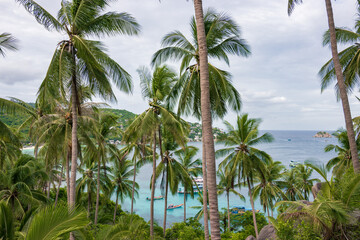 Fototapeta premium Panoramic viewpoint of John-Suwan overlooking Chalok Baan Kao and Thian Og bays in Koh Tao, Thailand