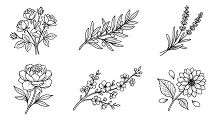 Fototapeta premium Minimalist botanical line art collection, hand drawn floral sketches with roses and lavender, set of 6 black and white flower vector illustrations