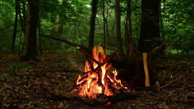 Burning bonfire seamless loop in green twilight woods, lumberjack axe in tree stump beside fire pit. Relaxing background with real audio of crackling logs and evening forest birds. 