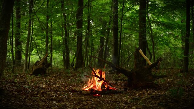 Infinite loop of rustic campfire in deep twilight woods, steel axe in old stump by the fire. Atmospheric video track with authentic wood crackling audio and calming forest bird chirps.