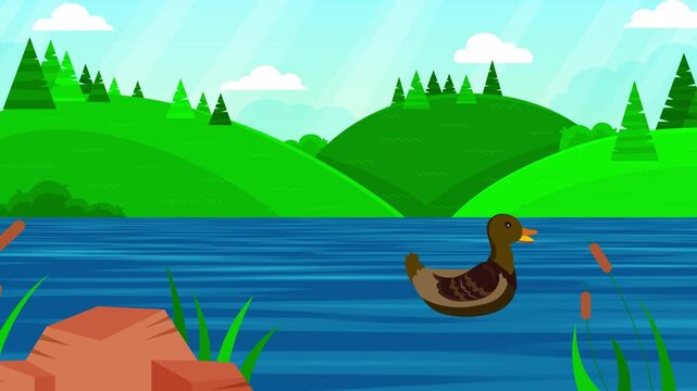 2d Duck Swimming in a River