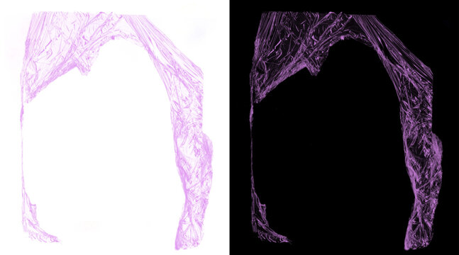 Microscopic tissue section with H&E staining, medical histology slide of anatomical sample, purple cellular structure on white and black background