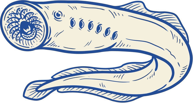 Stylized graphic illustration of a prehistoric lamprey eel with a circular suction mouth displaying sharp teeth and lateral gill slits, isolated artistic depiction of an aquatic parasite.