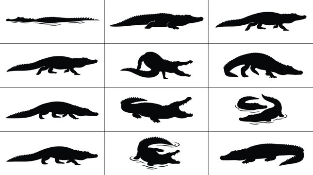 Crocodile and alligator black silhouette shapes set for wild animal nature design concepts