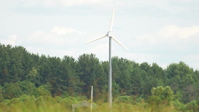 Wind turbine spins slowly in a grassy field. Tall evergreen trees form a dense forest backdrop. Clear sky with scattered clouds above. Grass sways gently in the wind