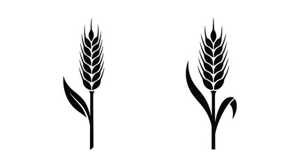 Wheat stalk silhouettes on a white background simple botanical illustration © Mjh Studio