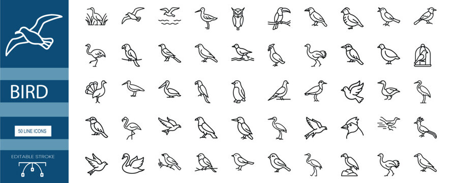 Bird line icons set with eagle, parrot, penguin, sparrow, pigeon, swan, goose, crane, flamingo, pelican, turkey, owl, toucan & more vector illustration with editable stroke.
