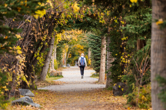 People walking in a tunnel of forest trees. Spur Line Trail in fall season. Canmore, Alberta, Canada.