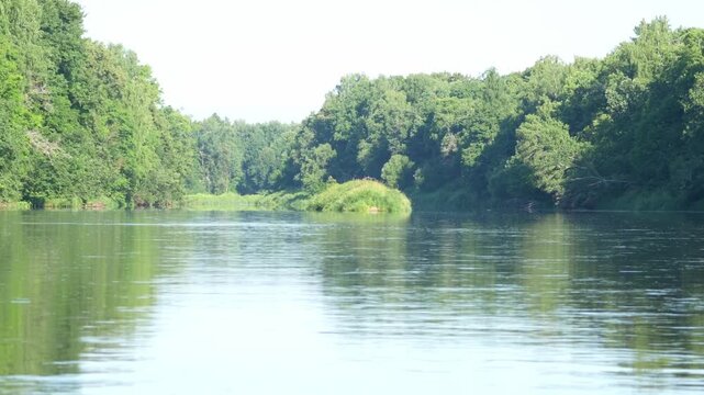 Serene river reflects sunlight. Calm water flows through forest. Dense green trees line both banks. Lush grassy patches grow in the river bend. Peaceful natural setting for calm moments