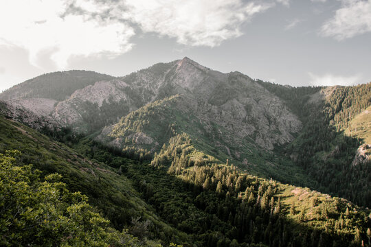 Scenic View of Forested Taylor Canyon and Wasatch Mountain Ridgelines from the Hidden Valley Loop Trail Above Ogden Utah on a Clear Summer Morning
