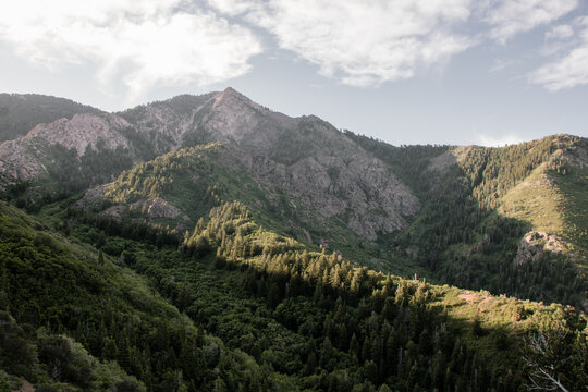 Scenic View of Forested Taylor Canyon and Wasatch Mountain Ridgelines from the Hidden Valley Loop Trail Above Ogden Utah on a Clear Summer Morning
