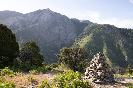 Scenic View of Forested Taylor Canyon and Wasatch Mountain Ridgelines from the Hidden Valley Loop Trail Above Ogden Utah on a Clear Summer Morning

