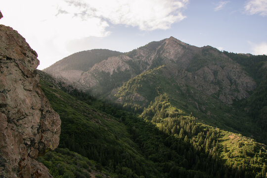 Scenic View of Forested Taylor Canyon and Wasatch Mountain Ridgelines from the Hidden Valley Loop Trail Above Ogden Utah on a Clear Summer Morning
