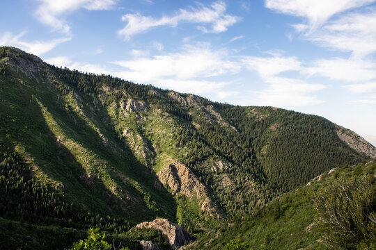 Scenic View of Forested Taylor Canyon and Wasatch Mountain Ridgelines from the Hidden Valley Loop Trail Above Ogden Utah on a Clear Summer Morning
