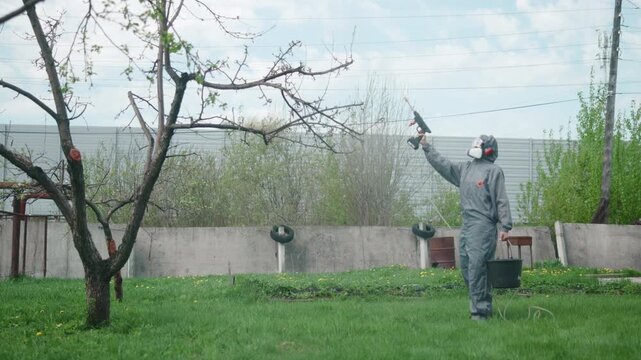 Person in protective coverall and respirator spraying upper tree branches in suburban backyard under soft daylight, with visible mist drifting across pruned bark and green lawn