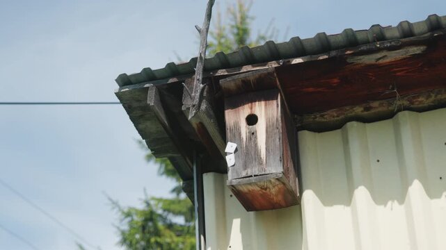 Weathered wooden birdhouse mounted beneath corrugated metal roof beside white siding, low-angle exterior view with rustic texture, soft daylight, quiet rural structure