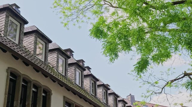 Traditional slate roof dormer windows on historical building in Hattingen Germany with green tree branches and blue summer sky, low angle shot of classic European architectural details