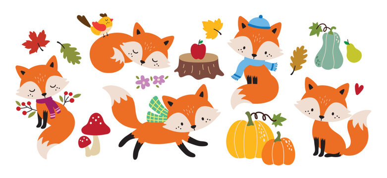 Cute foxes with fall-themed elements vector illustration. Festive foxes wearing cozy hats and scarves, surrounded by woodland elements like autumn pumpkins, apples, leaves, and mushrooms.