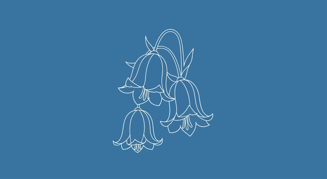 White line art of bluebell flowers on blue.