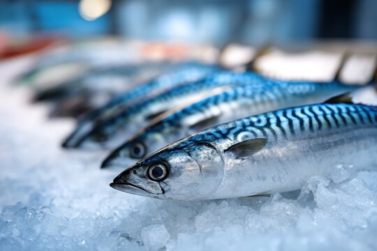 Fresh mackerel fish lined up on crushed ice at a seafood market showcasing their blue and silver shiny scales in high detail and vibrant colors