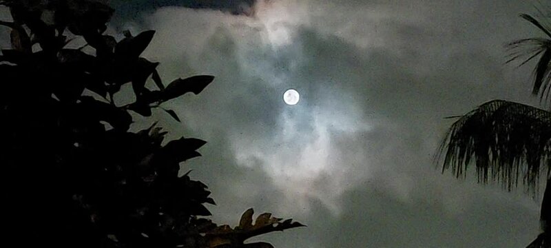 Full moon behind clouds with lemon tree branch in Joinville