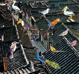 Various bird species ascend to the rooftops of old Asian cities to bask in the morning sunlight, transforming the quiet neighborhood into a vibrant sanctuary filled with color and life. © Lerson Pannawit