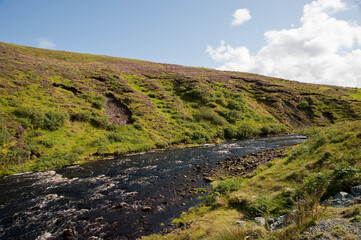 Fototapeta premium Mountain Stream Flowing Through Heather Moorland on the Isle of Skye, Scotland