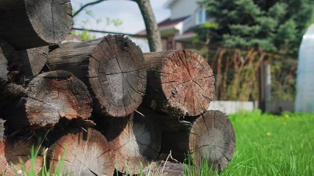 Weathered firewood logs stacked in suburban backyard with textured cut ends, visible growth rings, cracked bark, moss, and soft daylight across rustic garden setting