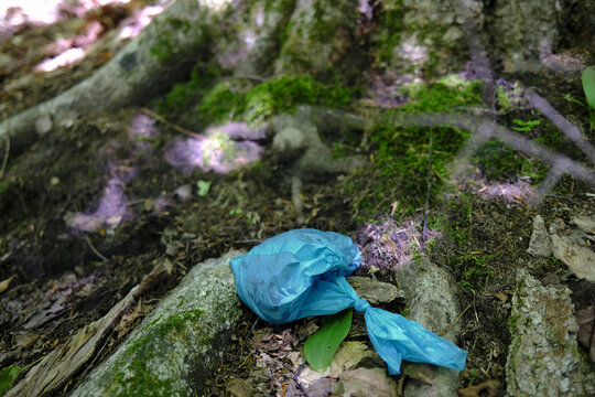 Sac en plastique au sol dans la for&ecirc;t. Concept de pollution plastique. Pollution de l'environnement. Pollution environnementale caus&eacute;e par un sac de d&eacute;jections canines abandonn&eacute; pr&egrave;s d'un arbre en for