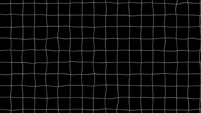 Black grid lines on white paper motion background. Minimalist grey grid line animation with smooth directional lines,
Animated background grid with twinkling thin crosses.
