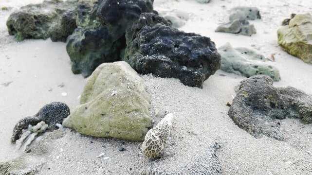 Natural coastal landscape with scattered volcanic and limestone rocks on a sandy tropical beach