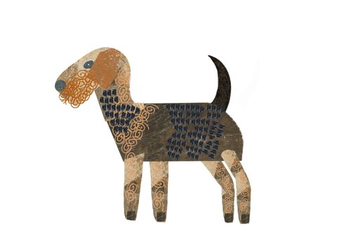 Airedale dog