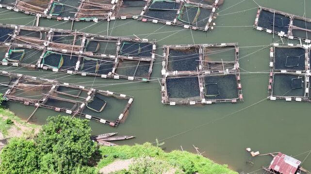 Aerial view of fish ponds on the riverbank, water flowing from the Riam Kanan reservoir