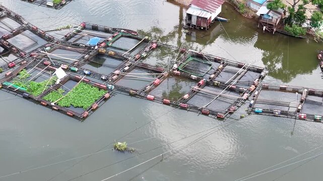 Aerial view of fish ponds on the riverbank, water flowing from the Riam Kanan reservoir