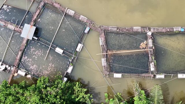 Aerial view of fish ponds on the riverbank, water flowing from the Riam Kanan reservoir