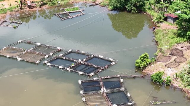 Aerial view of fish ponds on the riverbank, water flowing from the Riam Kanan reservoir