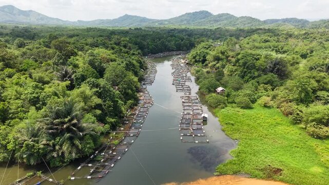 Aerial view of fish ponds on the riverbank, water flowing from the Riam Kanan reservoir
