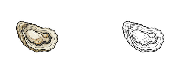 Flat colored and black line cartoon illustrations of raw open oyster in beige and brown colors used for seafood restaurant menu or ocean food design decoration © Dzianis