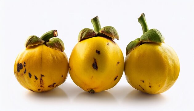 Three Ripe Yellow Garcinia Cambogia Fruits With Brown Spots Isolated On A Plain White Background